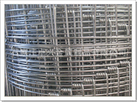 熱鍍鋅草原網(wǎng) 優(yōu)質(zhì)草原防護(hù)網(wǎng)價(jià)格、廠家與產(chǎn)品介紹